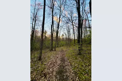 1661 N Centerline Road, White Cloud, MI 49349 - Photo 35