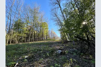 E 22 Mile Road, Sand Lake, MI 49343 - Photo 11