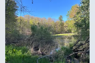 E 22 Mile Road, Sand Lake, MI 49343 - Photo 3