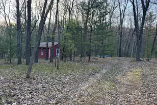 9075 S Larson Ave, Baldwin, MI 49304 - Photo 1