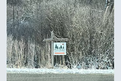 264 S 152nd Avenue #- Cabin and 60 Acres, Shelby, MI 49455 - Photo 23