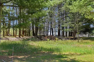 7492 E Townline Lake Rd, Harrison, MI 48625 - Photo 29