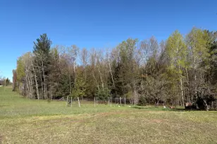 11904 E 8th St, Reed City, MI 49677 - Photo 13