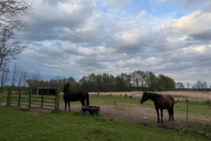 18300 14 Mile Rd, Battle Creek, MI 49014 - Photo 23