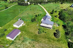 6540 Peckins Ln, Manchester, MI 48158 - Photo 5