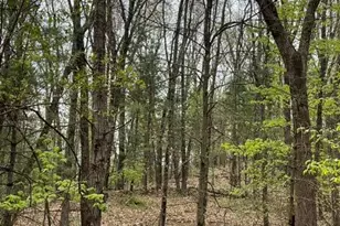 8250 Rum Creek Trail NE, Rockford, MI 49341 - Photo 123
