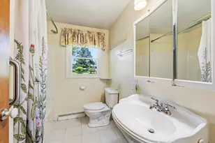 407 E Lincoln St, Hastings, MI 49058 - Photo 13