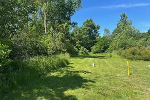 85 Diamond Point Ln, New Buffalo, MI 49117 - Photo 1