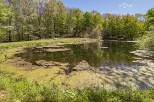 4115 S Van Kal St, Mattawan, MI 49071 - Photo 35
