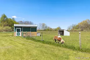 11117 W Snows Lake Rd, Greenville, MI 48838 - Photo 27