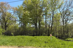00000 41st St, Paw Paw, MI 49079 - Photo 1