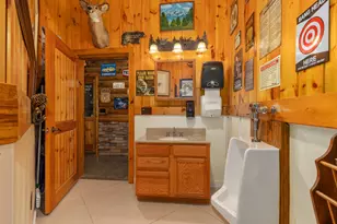 781 Hopkins Rd, Lyons, MI 48851 - Photo 31