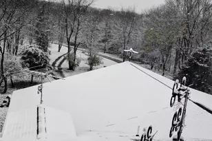 781 Hopkins Rd, Lyons, MI 48851 - Photo 97