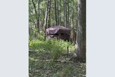 781 Hopkins Road, Lyons, MI 48851 - Photo 91