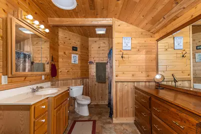 781 Hopkins Road, Lyons, MI 48851 - Photo 67