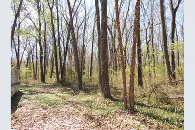 1124 54th Street, Fennville, MI 49408 - Photo 3