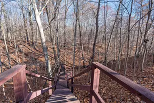 6629 W East Rd, Three Oaks, MI 49128 - Photo 27