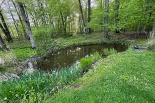 6629 W East Rd, Three Oaks, MI 49128 - Photo 37