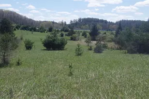 S 39 Rd, Cadillac, MI 49601 - Photo 1