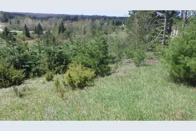 S 39 Road, Cadillac, MI 49601 - Photo 3