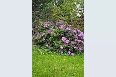 59021 County Road 215, Lawrence, MI 49064 - Photo 25