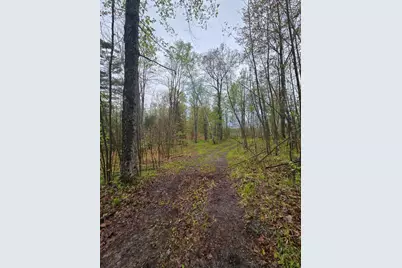 V/L M 115, Marion, MI 49665 - Photo 21