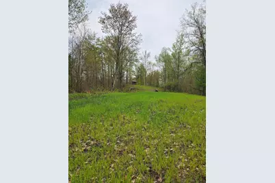 V/L M 115, Marion, MI 49665 - Photo 37