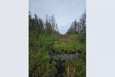 V/L M 115, Marion, MI 49665 - Photo 31