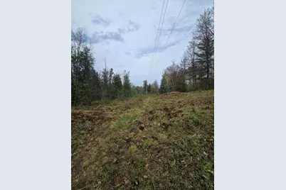 V/L M 115, Marion, MI 49665 - Photo 27