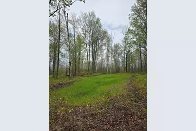 V/L M 115, Marion, MI 49665 - Photo 41