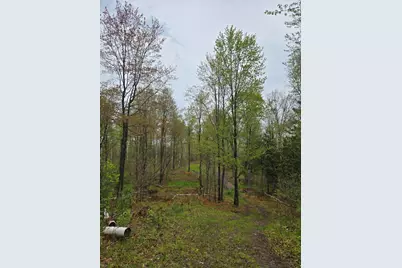 V/L M 115, Marion, MI 49665 - Photo 39