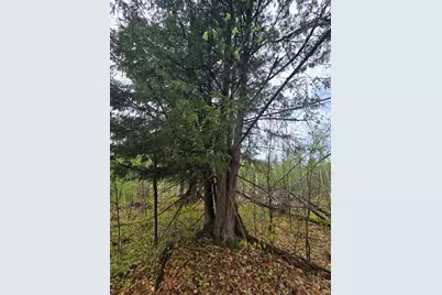 V/L M 115, Marion, MI 49665 - Photo 35