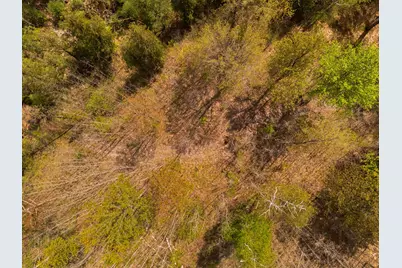 V/L M 115, Marion, MI 49665 - Photo 11