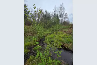 V/L M 115, Marion, MI 49665 - Photo 33