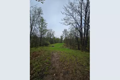 V/L M 115, Marion, MI 49665 - Photo 25