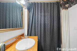 407 S Lincoln St, Portland, MI 48875 - Photo 31