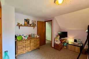 9435 E Garfield Rd, Hesperia, MI 49421 - Photo 21