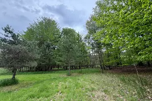 9435 E Garfield Rd, Hesperia, MI 49421 - Photo 35