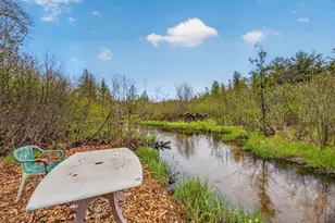 109 N Park St, Manton, MI 49663 - Photo 41