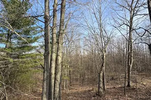 7584 Railroad Grade, Nester, MI 48624 - Photo 139