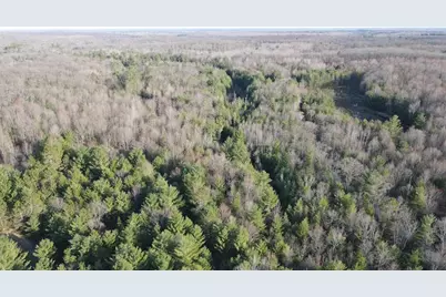 7584 Railroad Grade, Nester, MI 48624 - Photo 23