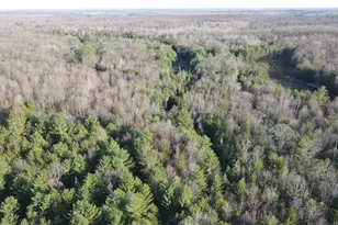 7584 Railroad Grade, Nester, MI 48624 - Photo 23