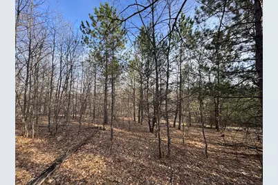 7584 Railroad Grade, Nester, MI 48624 - Photo 131