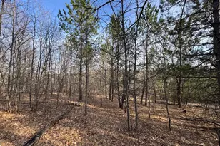7584 Railroad Grade, Nester, MI 48624 - Photo 131