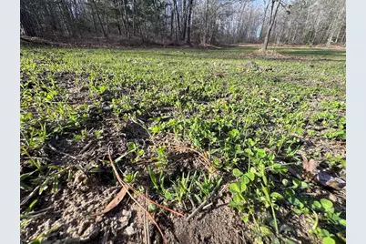 7584 Railroad Grade, Nester, MI 48624 - Photo 19