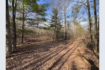 7584 Railroad Grade, Nester, MI 48624 - Photo 117