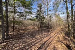 7584 Railroad Grade, Nester, MI 48624 - Photo 117