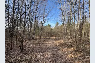 7584 Railroad Grade, Nester, MI 48624 - Photo 129