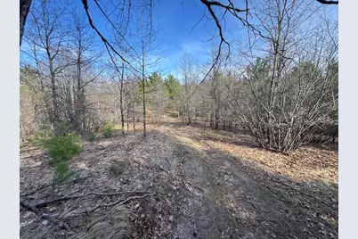 7584 Railroad Grade, Nester, MI 48624 - Photo 135