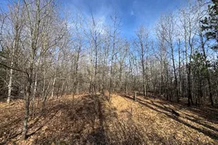 7584 Railroad Grade, Nester, MI 48624 - Photo 115